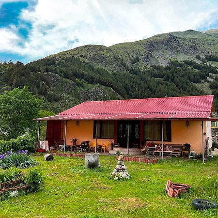 januka garden sno Villa Kazbegi Bagian luar foto