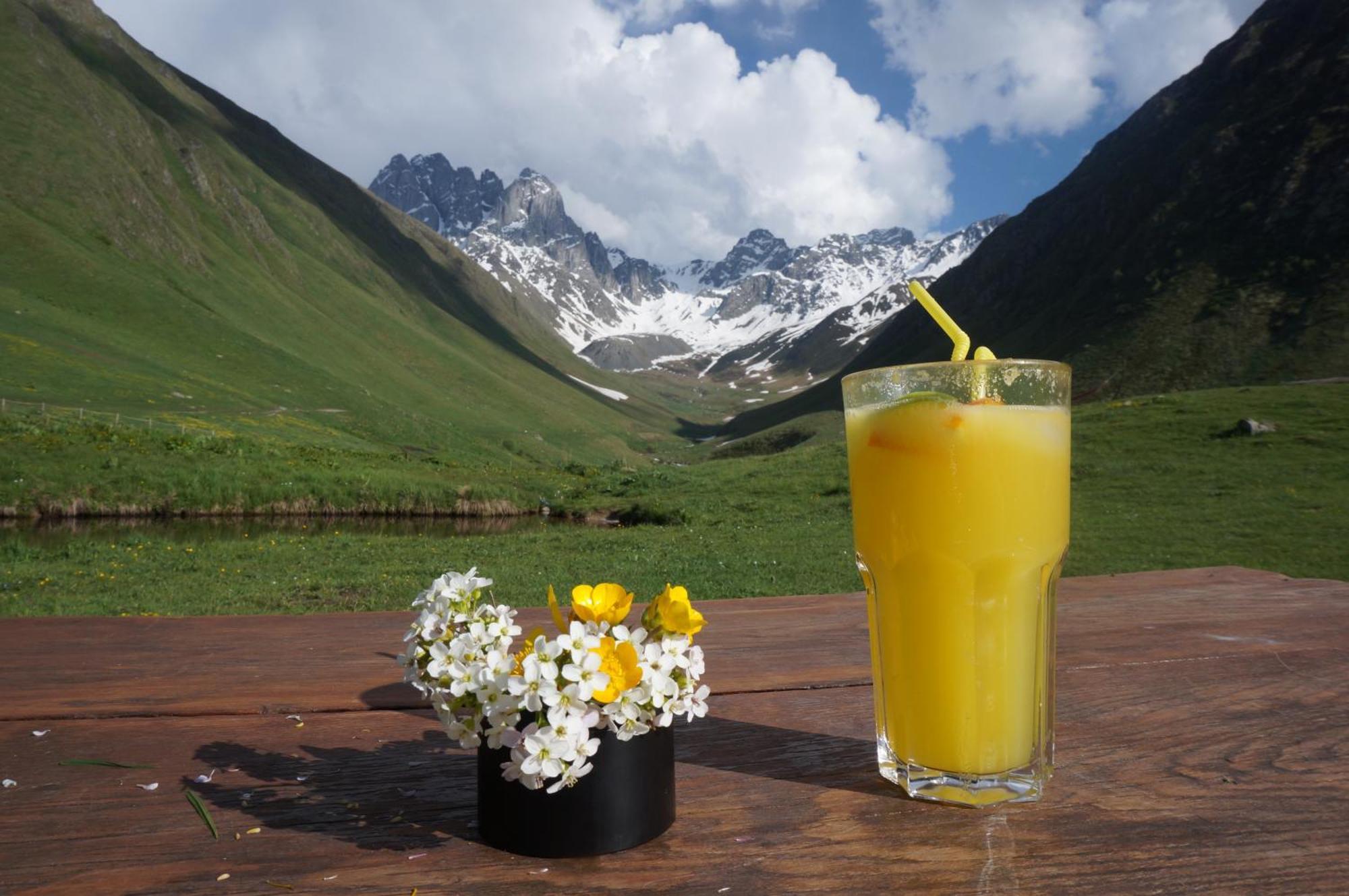 januka garden sno Villa Kazbegi Bagian luar foto