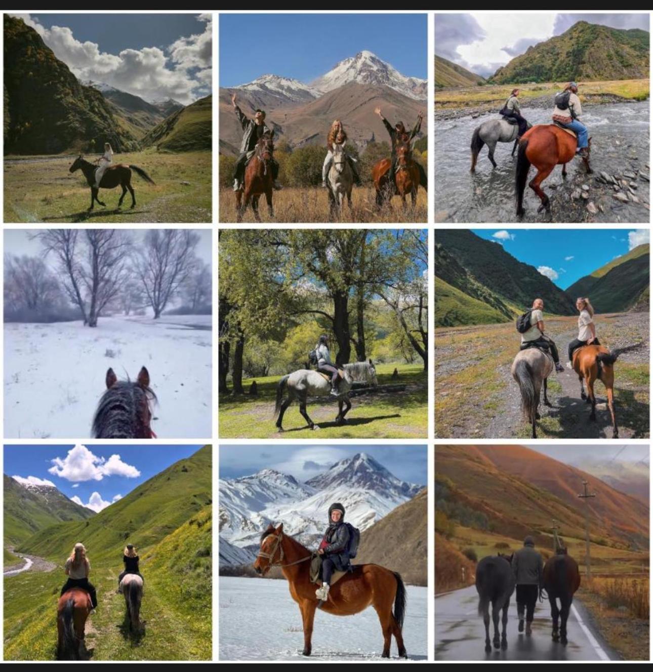 januka garden sno Villa Kazbegi Bagian luar foto