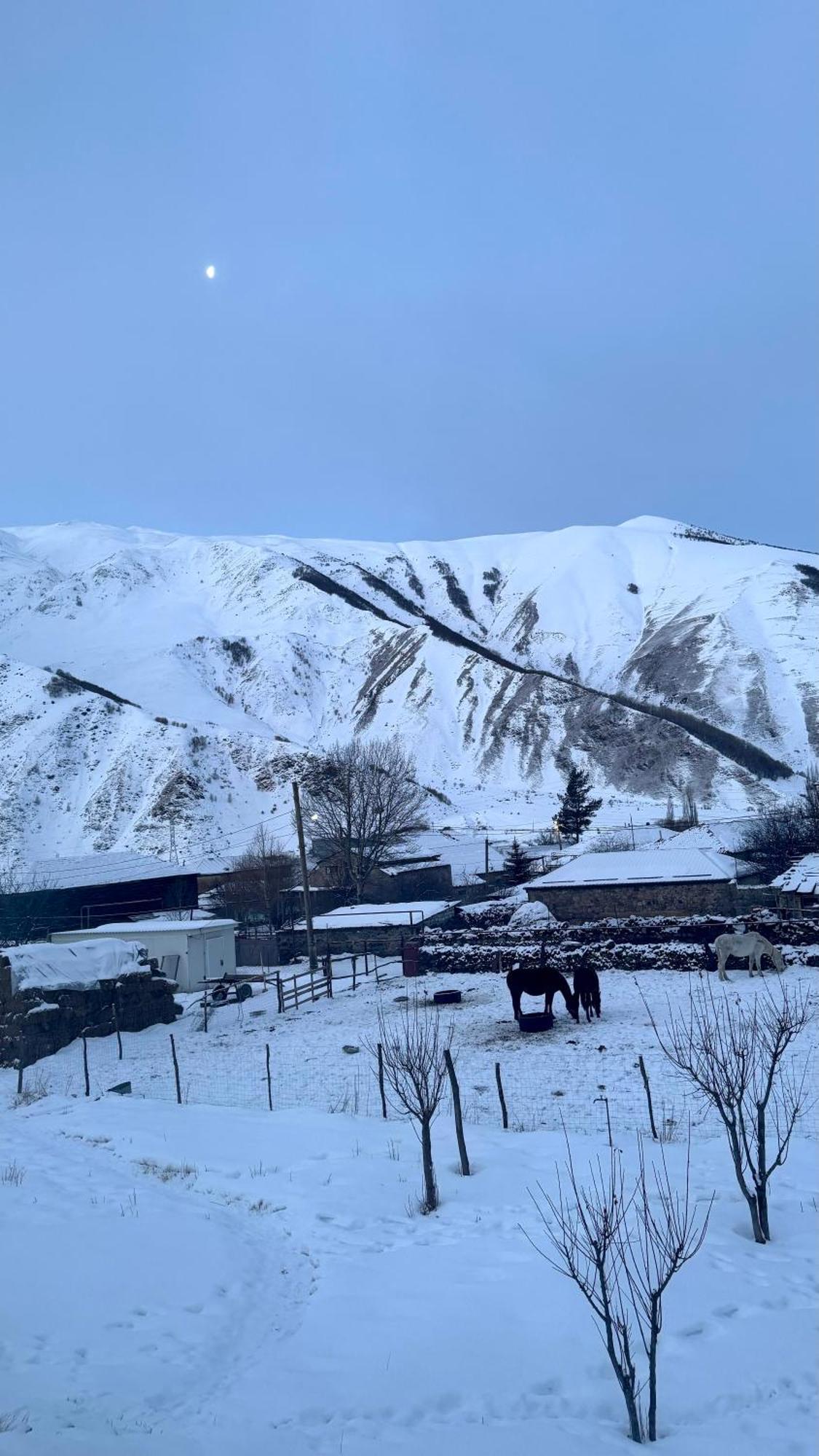 januka garden sno Villa Kazbegi Bagian luar foto