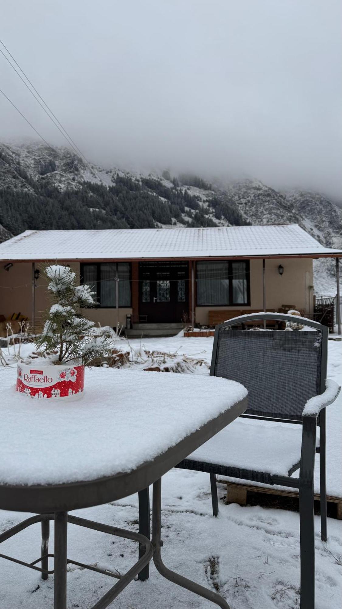januka garden sno Villa Kazbegi Bagian luar foto