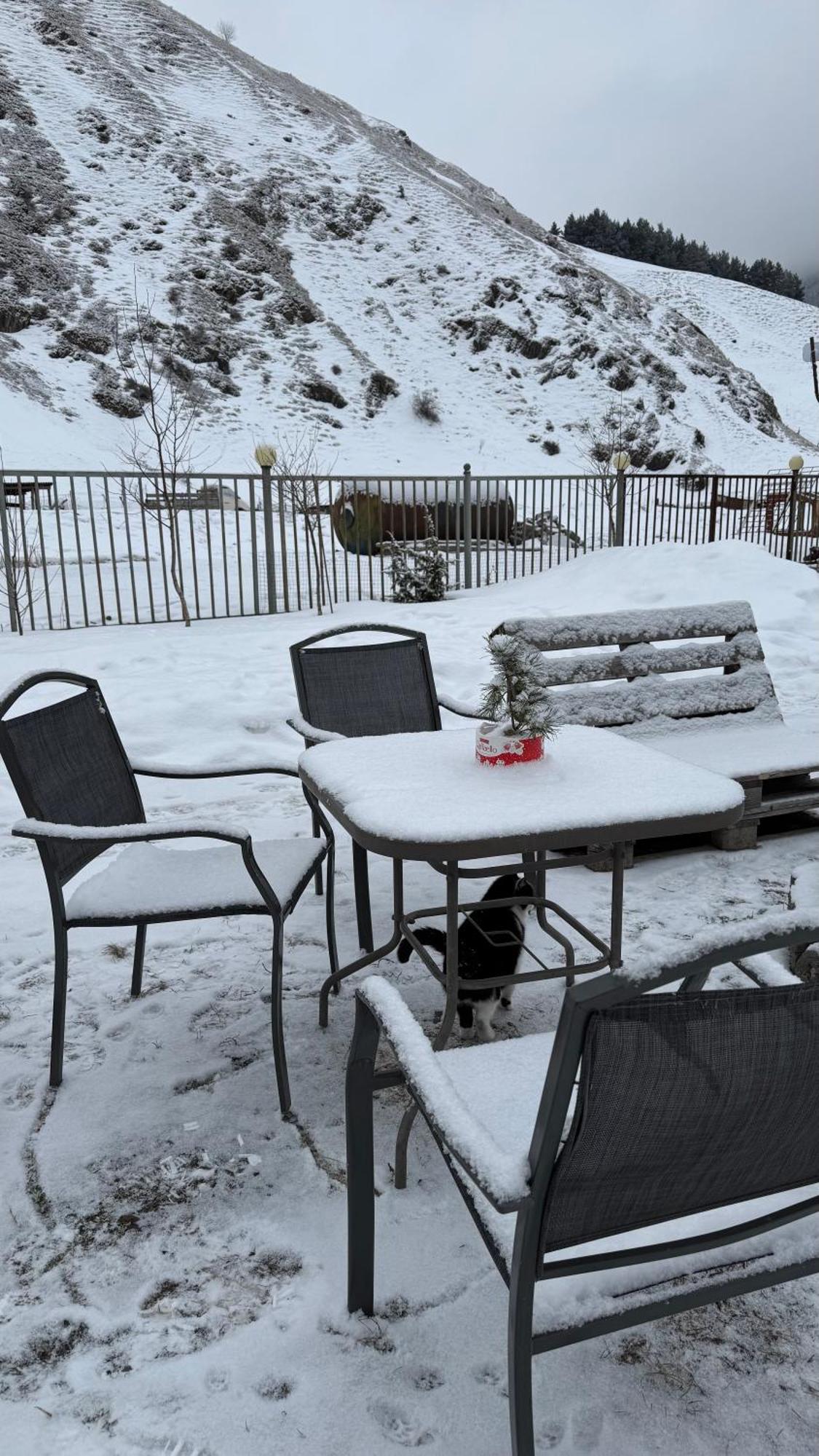 januka garden sno Villa Kazbegi Bagian luar foto