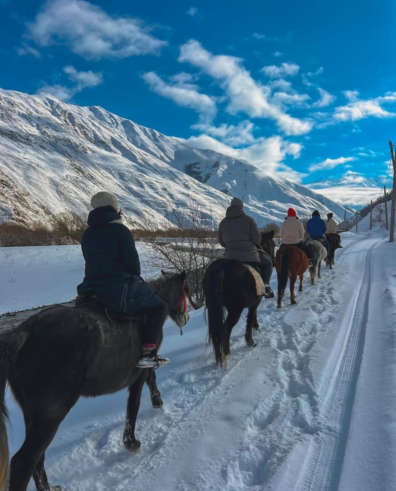 januka garden sno Villa Kazbegi Bagian luar foto