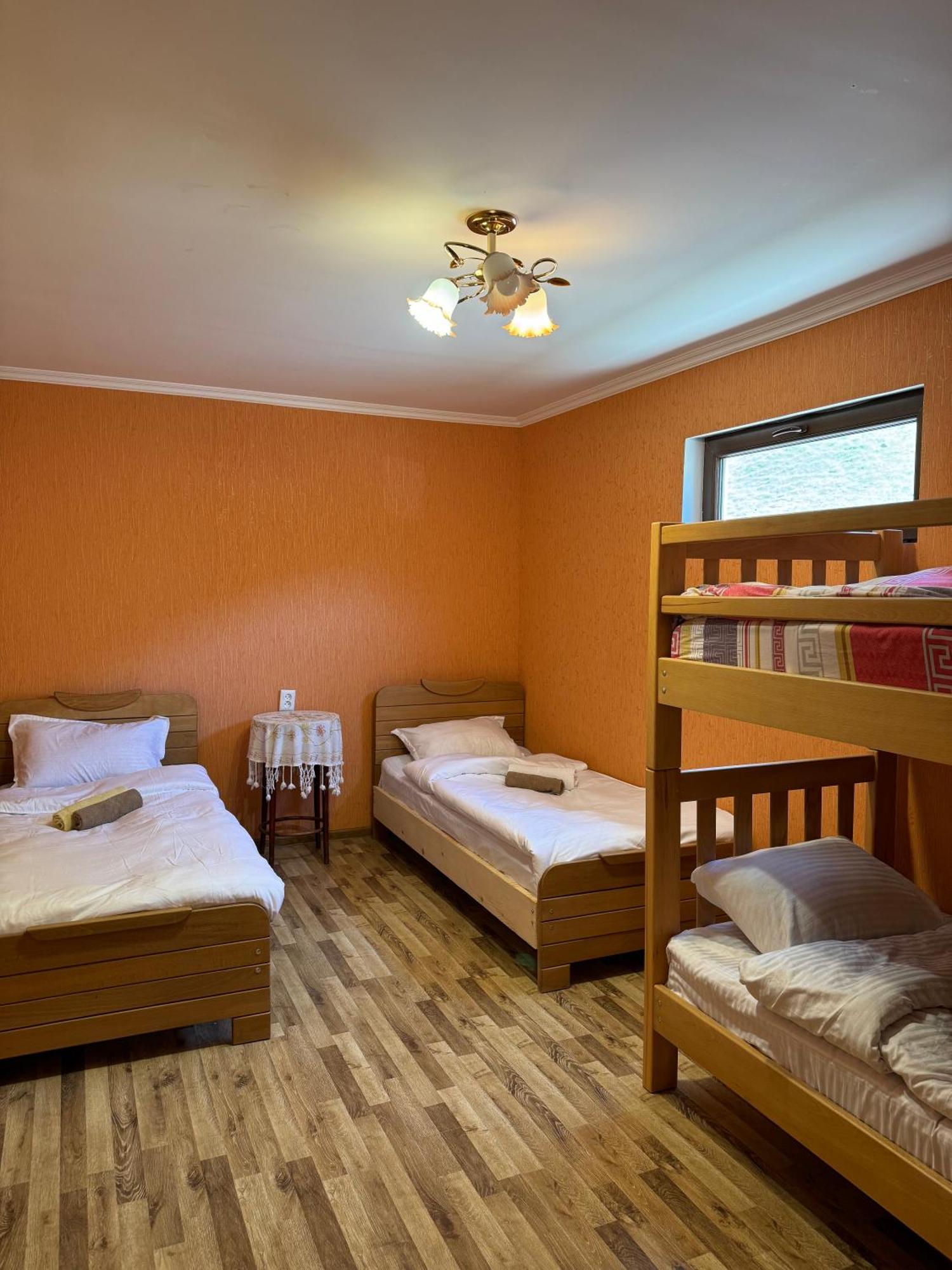januka garden sno Villa Kazbegi Ruang foto