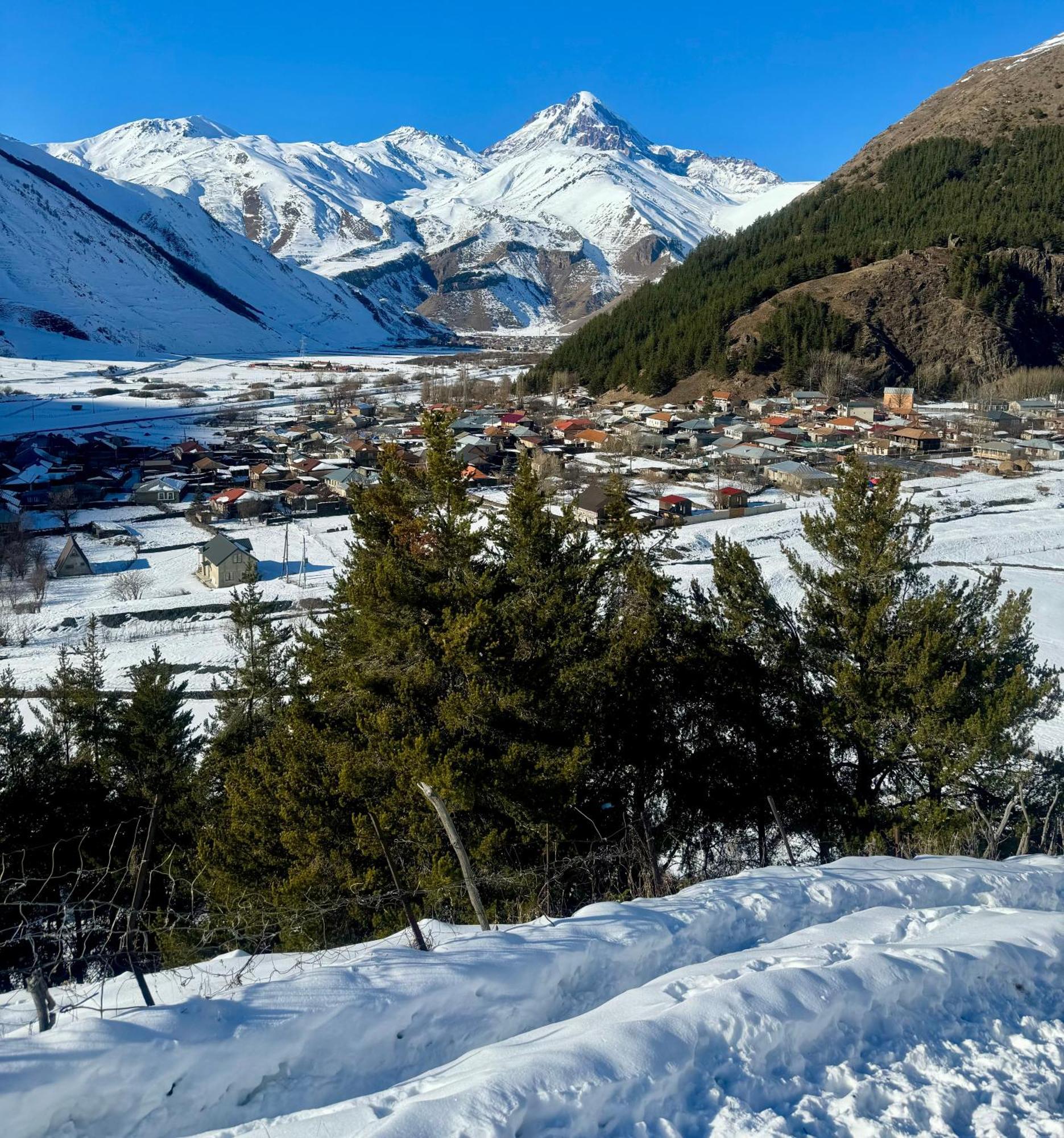 januka garden sno Villa Kazbegi Bagian luar foto